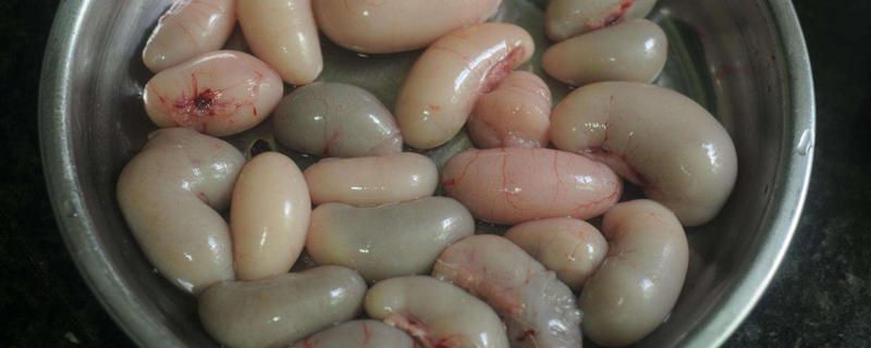 备孕搜索结果-乐哈健康网