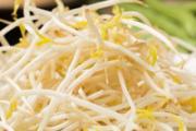 绿豆芽可以吃生的吗 绿豆芽生吃会中毒吗