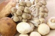 草八珍是什么 这八个都属于山上的菌类