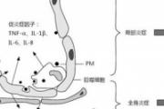 雾霾到底会不会致癌