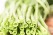 糖尿病人能吃空心菜吗 糖尿病吃空心菜的好处