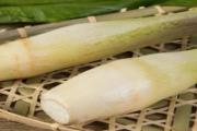 茭白买回来怎么保存 炒茭白之前茭白用焯水吗