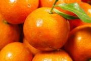 橘子怎么保存新鲜时间长 橘子放冰箱好还是放外面好
