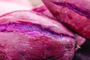 紫薯一年四季都有吗 紫薯蒸多久能熟