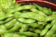 孕妇可以吃毛豆吗 孕妇吃毛豆有什么好处