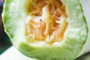 羊角蜜切开里面全是水是坏了吗 羊角蜜里面化成水了还能吃吗