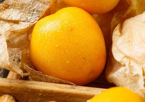 姑娘果是什么样的果子姑娘果有什么营养成分 乐哈健康网