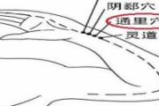 通里的定位和主治 通里怎么找最简单图片