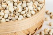 煮薏米粥之前还用泡吗 没泡过的薏米要煮多久