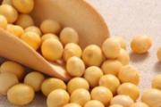 月经吃什么丰胸快 5类食物丰胸效果好
