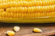 玉米能用微波炉加热吗 玉米用微波炉多久能熟