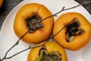 吃了柿子可以吃紫菜吗 柿子土豆能一起吃吗