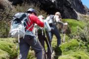 如何登山省力又健康