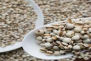 薏米降血糖吗 薏米怎么吃降血糖