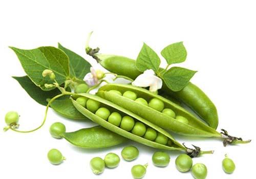 豌豆可以打豆浆喝吗