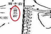 肩外俞在哪里 肩外俞的作用与功效