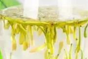 泡金银花茶能放冰糖吗 泡金银花茶放冰糖好还是红糖