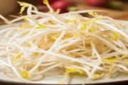 绿豆芽怎么保存不会烂 绿豆芽和黄豆芽的区别