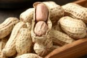 花生米是高热量食物吗 花生米会发胖吗