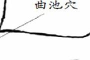 曲池的位置在哪里 按摩曲池的作用与好处