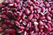 胆结石吃什么最好 胆结石吃什么食物