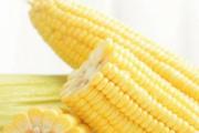 黄玉米煮多久就熟了 黄玉米和白玉米哪个好