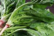胃不好吃什么食物养胃 这些食物不要放过