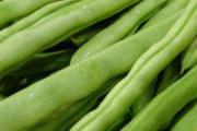 四季豆的功效与作用及禁忌