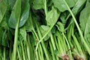 吃什么东西可以润肠 润肠食物大盘点