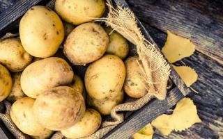 芒果和感冒药隔多久吃