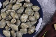 吃花甲能喝红酒吗 红酒不能和什么一起吃