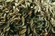 小茴香孕妇能吃吗