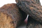 肉苁蓉和草苁蓉的区别 肉苁蓉和草苁蓉哪种好