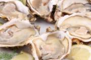 海鲜减肥食物有哪些 7种海产品消脂见效