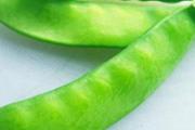 荷兰豆是豌豆吗