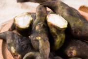 菱角发芽还能吃吗 菱角可以放冰箱冷冻吗