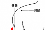 肩周炎艾灸哪些部位