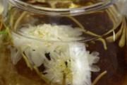 野菊花和莲子心可以一起泡吗 莲子心泡水苦吗