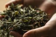 茶叶怎么保存不变质 茶叶的保存方法