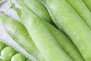青豆能打豆浆吗 青豆豆浆怎么做 