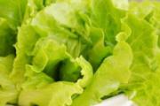 生菜的营养价值