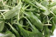 马兰头什么季节有 马兰头几月份可以吃