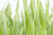 雨水节气还冷吗 雨水节气是气温变暖吗