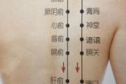 阳纲的准确位置图 阳纲准确位置图片和作用
