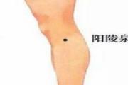 阳陵泉在什么地方 阳陵泉在什么经络上