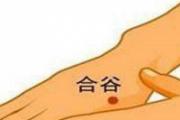 合谷的作用和功效 合谷穴位置图