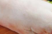 猪脚的营养价值及禁忌 女人吃猪脚有什么好处