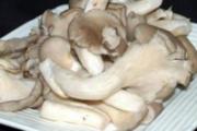 平菇和什么搭配好 食用平菇注意事项