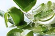 芦荟面膜可以天天做吗