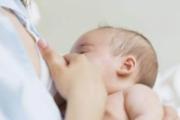 哺乳期能不能吃橄榄 哺乳期吃橄榄有什么好处